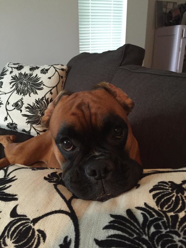 Internal Medicine Patient at BBVSH