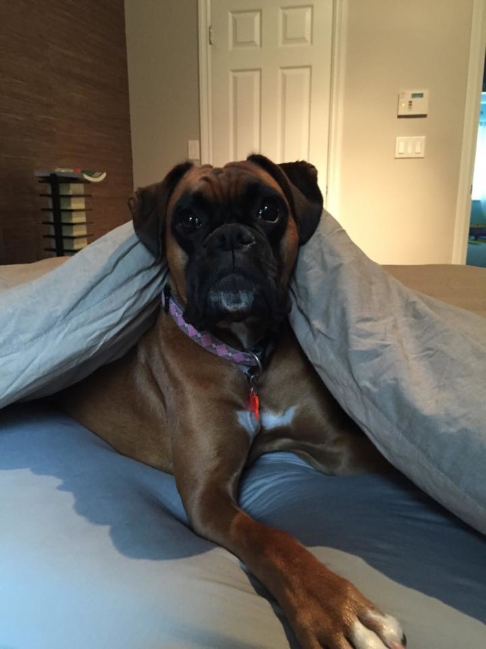 Internal Medicine Patient at BBVSH