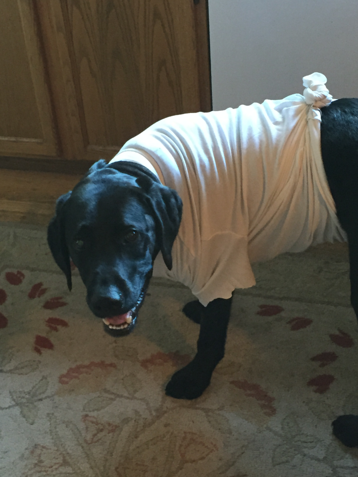 Cooper recovering at home.