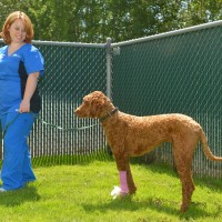 Happy Pets at Boundary Bay Veterinary Specialty Hospital