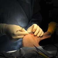 Emergency Veterinary Surgery