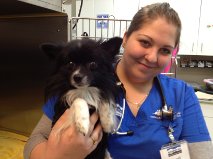 Floyd and Randi, a registered Animal Health Technician at Boundary Bay Veterinary Specialty Hospital