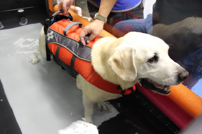 Gudong Li Treadmill (61)