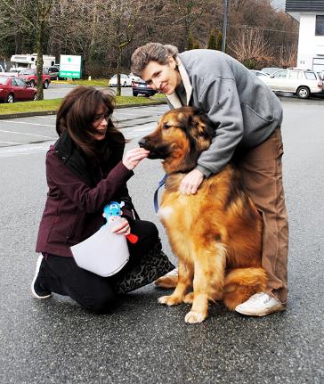 A dog’s life - Dogwood Rescue volunteers Sandra Stavely (left) and Brenda Kay give Henrik a few treats. 