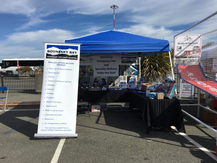 Petapalooza Victoria 2016 Boundary Bay Veterinary Specialty Hospital