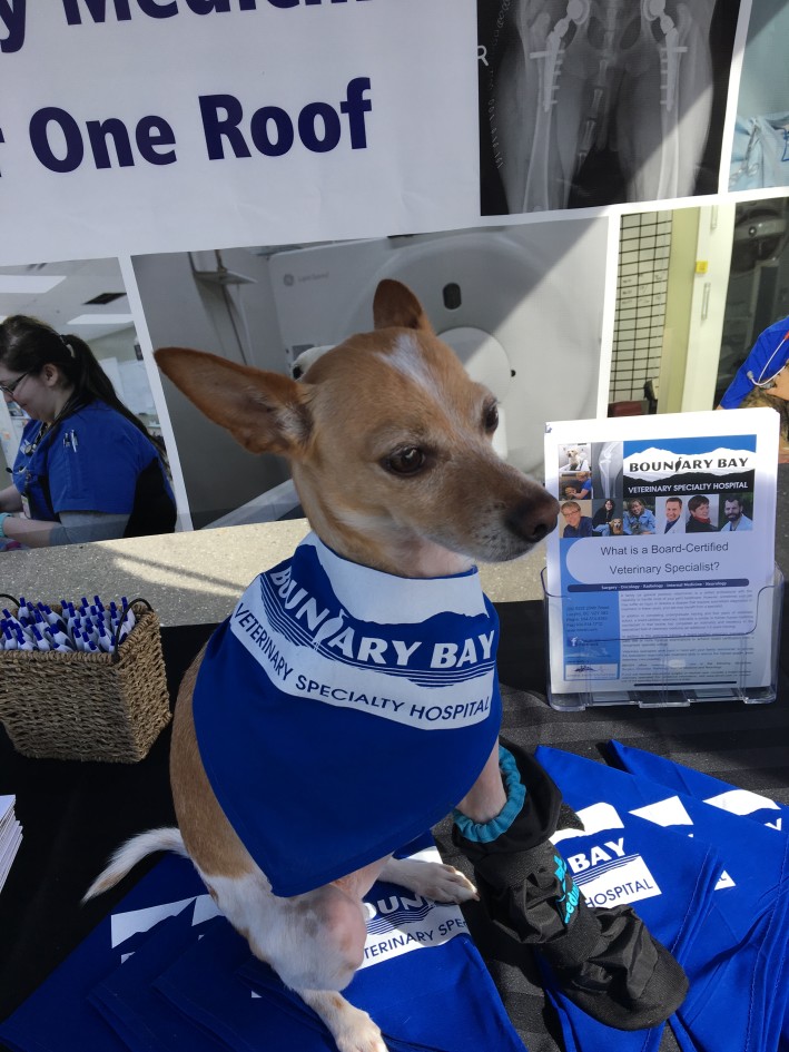 Patient of Dr, Geoffrey Hutchinson