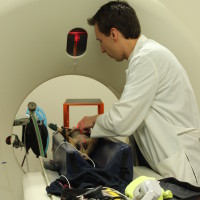 Board-Certified Veterinary Neurologist and CT Scan