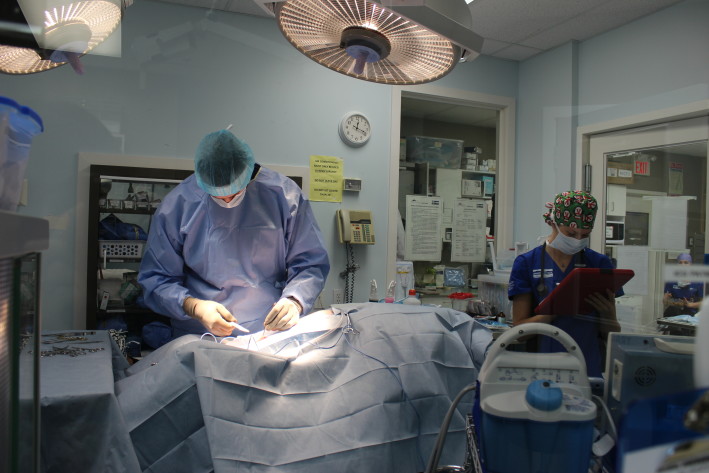 Gunner The RCMP Service Dog’s Extended Abdomen