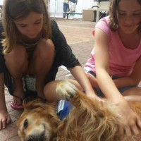 Pet A Palooza Vancouver (20)