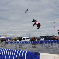 Pet A Palooza Victoria (165)