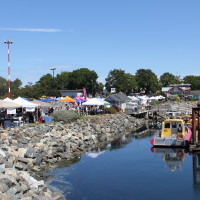 Pet A Palooza Victoria (177)