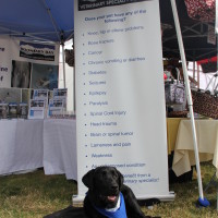 Pet A Palooza Victoria (93)