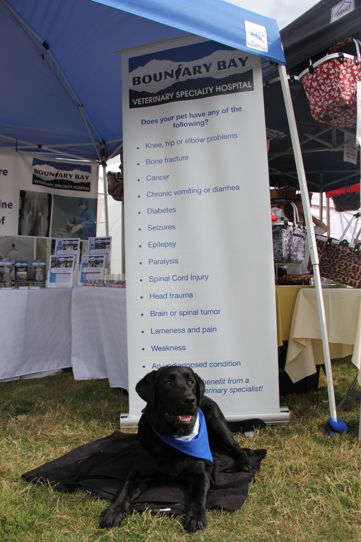 Pet-A-Palooza Victoria Boundary Bay Veterinary Specialty Hospital