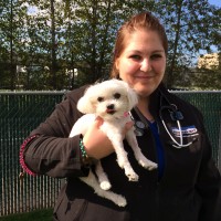 Randi, Registered Animal Health Technician and 'Sugar'. Randi was with 'Sugar' throughout her surgery and during most of her recovery.