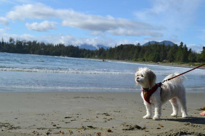 Chemotherapy patient enjoying life