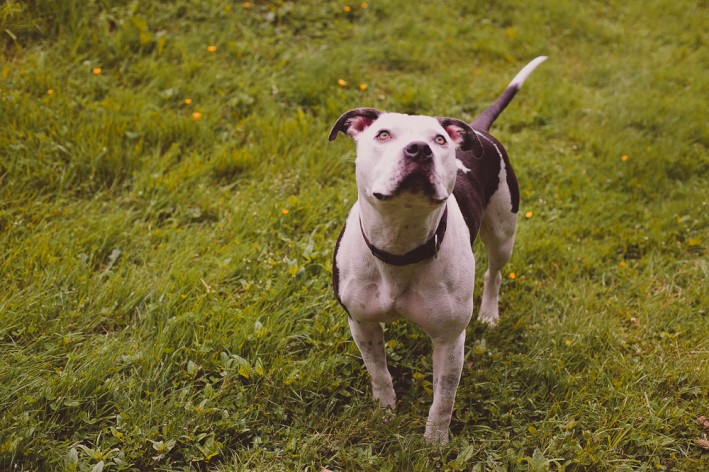 Talu's TTA Experience