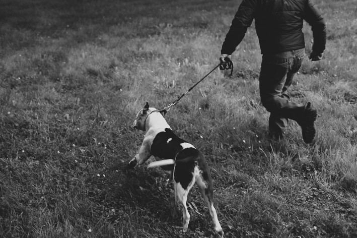 Talu's TTA Experience