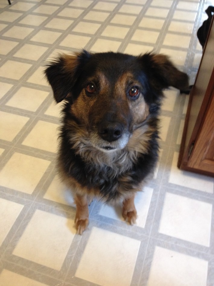 Testimonial Shasta 2