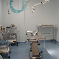 Veterinarian Surgery Suite