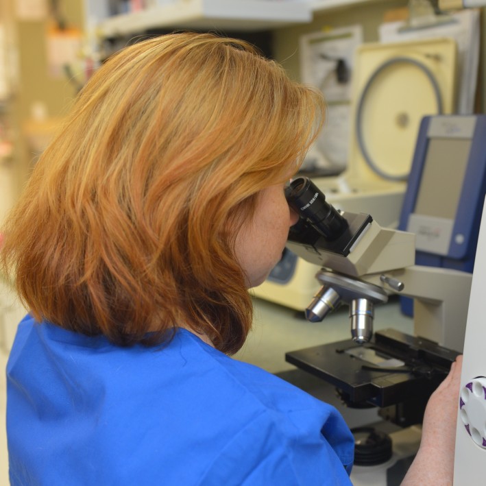 Veterinary Assistant and Microscope work