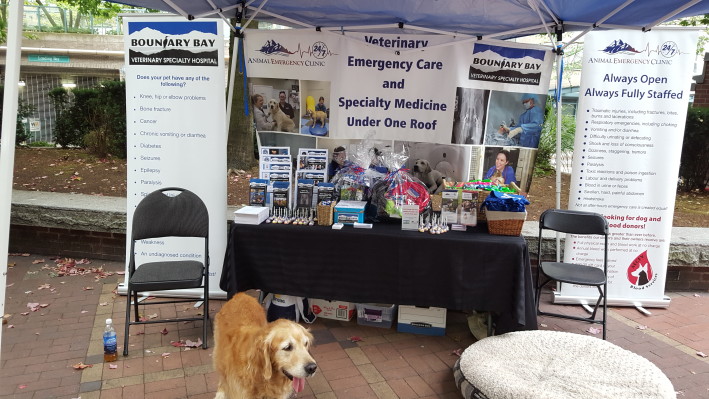 BBVSH at Petapaloza 2016