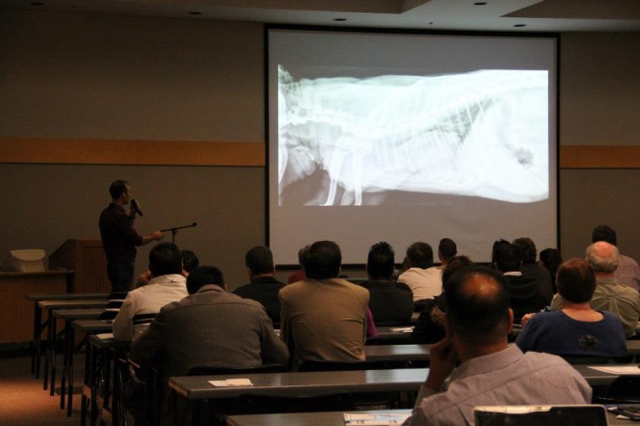 Dr. Lawrence Brown reviews the details of a thoracic radiograph.