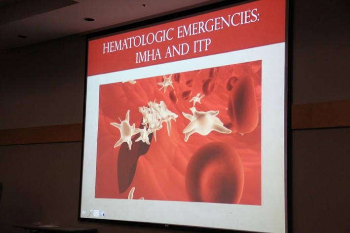 Dr. Nielssen discusses Hematologic Emergencies IMHA and ITP