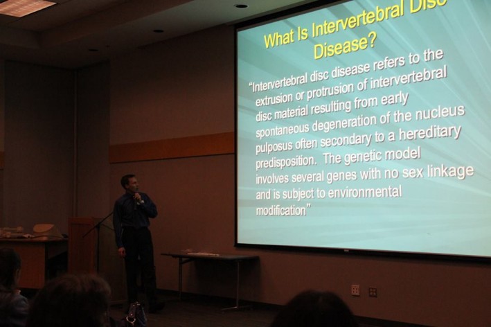 Dr. Peter Gordon discusses Intervertebral Disc Disease entitled 'Broke Back Dachshund'