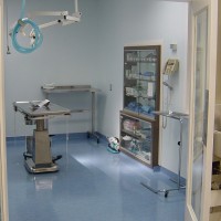 Boundary Bay Veterinary Specialty Hospital Surgery Suite