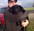 Boundary Bay Veterinary Specialty Hospital Client Testimonial
