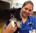 Boundary Bay Veterinary Specialty Hospital Client Testimonial